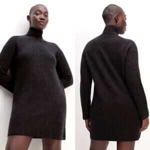Everlane The Cozy Stretch Turtleneck Dress Charcoal Women's Large NWT